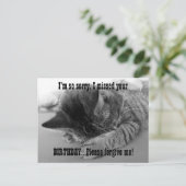 Sorry Kitten Postkarte (Stehend Vorderseite)