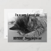 Sorry Kitten Postkarte (Vorne/Hinten)