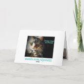 Sorry Kitty mit traurigen Augen Karte (Rückseite)