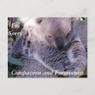 Sorry_Postcard Postkarte