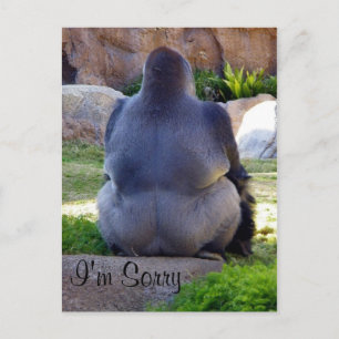 Sorry_ Postcard Postkarte