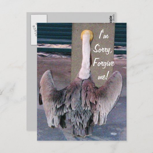 Sorry_ Postcard Postkarte (Vorne/Hinten)