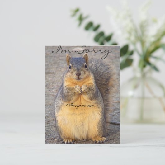 Sorry_ Postkarte (Stehend Vorderseite)