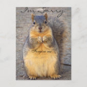 Sorry_ Postkarte (Vorderseite)