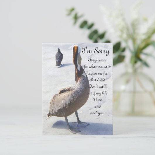 Sorry_ Postkarte (Stehend Vorderseite)