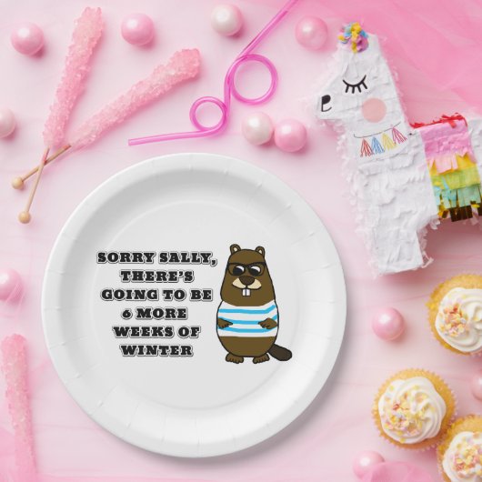 Sorry Sally, 6 weitere Wochen Winter Pappteller (Party)