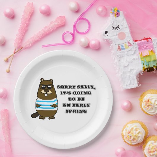 Sorry Sally, Frühjahr Pappteller (Party)