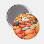 Sorte zum Verkauf angebotener Squash, Deutschland Magnet (Vorderseite/Rückseite)
