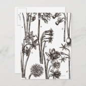 Sorten von Jonquils Postkarte (Vorne/Hinten)