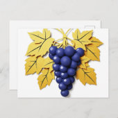 Sortenbündel im Papierschnitt mit Elegant Postkarte (Vorne/Hinten)