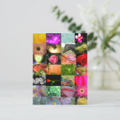 Sortenkollektion Postkarte (Stehend Vorderseite)