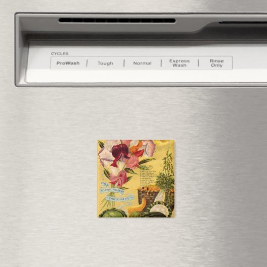 Sortenmagnet Magnet (In Situ (Geschirrspüler))