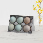 Sortenpaket Karte (Gelbe Blume)