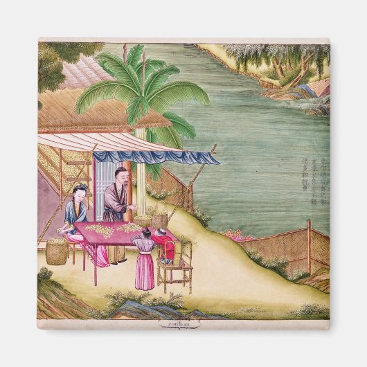 Sortieren der Kokons Magnet (Vorne)