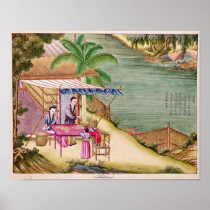 Sortieren der Kokons Poster