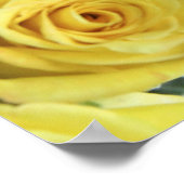 Sortierte frische Rosenbuquets Poster (Ecke)