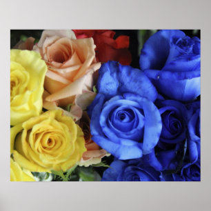 Sortierte frische Rosenbuquets Poster