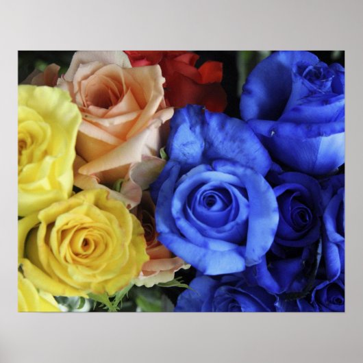 Sortierte frische Rosenbuquets Poster (Vorne)