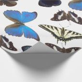 Sortierte Schmetterlinge Geschenkpapier (Ecke)