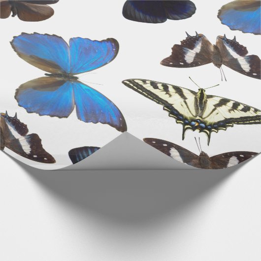 Sortierte Schmetterlinge Geschenkpapier (Ecke)