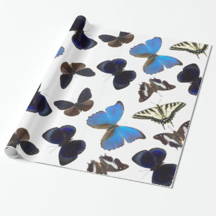 Sortierte Schmetterlinge Geschenkpapier