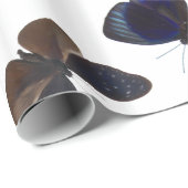 Sortierte Schmetterlinge Geschenkpapier (Rolleneckpunkt)