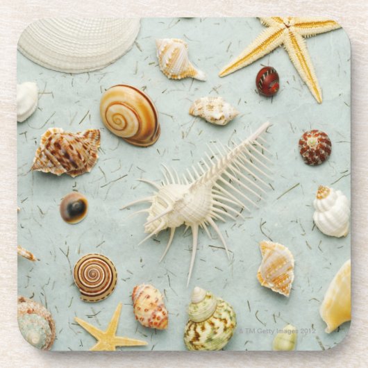 Sortierte Seashells auf blauem Hintergrund Untersetzer (Vorderseite)