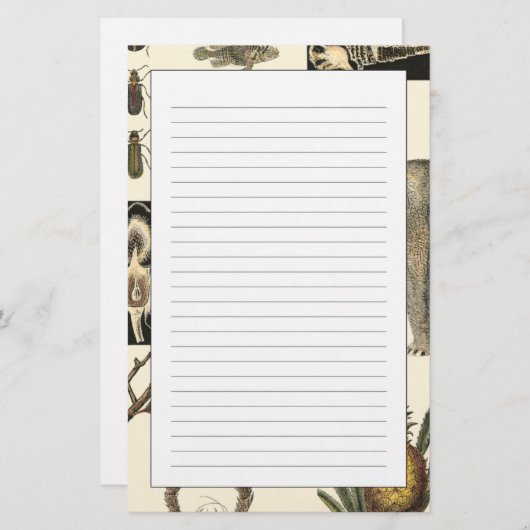 Sortierte Tiere gemalt auf Sahnehintergrund Briefpapier (Vorne/Hinten)