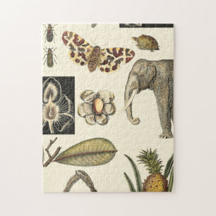 Sortierte Tiere gemalt auf Sahnehintergrund Puzzle