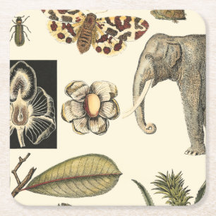 Sortierte Tiere gemalt auf Sahnehintergrund Rechteckiger Pappuntersetzer