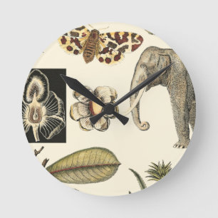 Sortierte Tiere gemalt auf Sahnehintergrund Runde Wanduhr