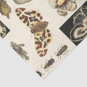 Sortierte Tiere gemalt auf Sahnehintergrund Seidenpapier (Ausschnitt)