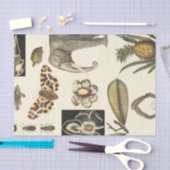 Sortierte Tiere gemalt auf Sahnehintergrund Seidenpapier (Handwerk)