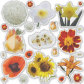 Sortierte Weiße Gelbe Orangefarbene Blumen Aufkleber (Vorderseite)
