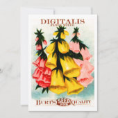 Sortiertes Fingerhut-Fingerhut-Samen-Paket Einladung (Vorderseite)