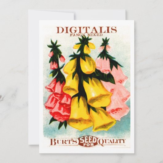 Sortiertes Fingerhut-Fingerhut-Samen-Paket Einladung (Vorderseite)