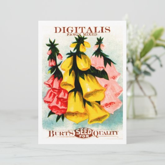 Sortiertes Fingerhut-Fingerhut-Samen-Paket Einladung (Stehend Vorderseite)