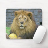 Sortiertes TierMousepads Mousepad (Mit Mouse)
