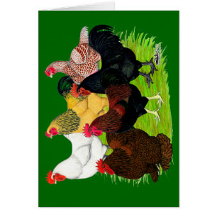 Sortiment für Schwerbrecher