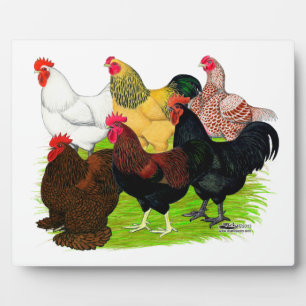 Sortiment für Schwerbrecher Fotoplatte