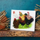 Sortiment für Schwerbrecher Fotoplatte (Seite)