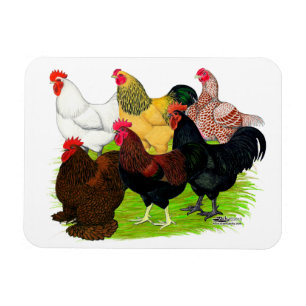 Sortiment für Schwerbrecher Magnet