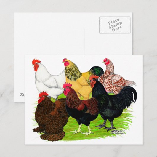 Sortiment für Schwerbrecher Postkarte (Vorne/Hinten)