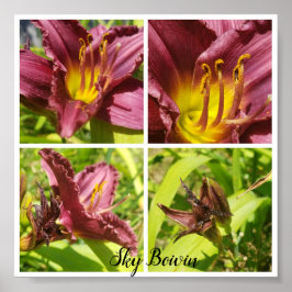 Sortiment Roter Lilien Poster