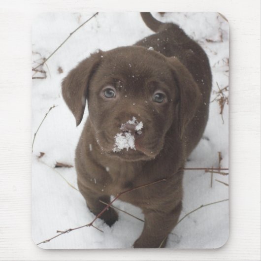 Sosa Lakota Mousepad (Vorne)