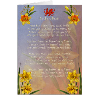 Sospan Fach Narzisse verziert