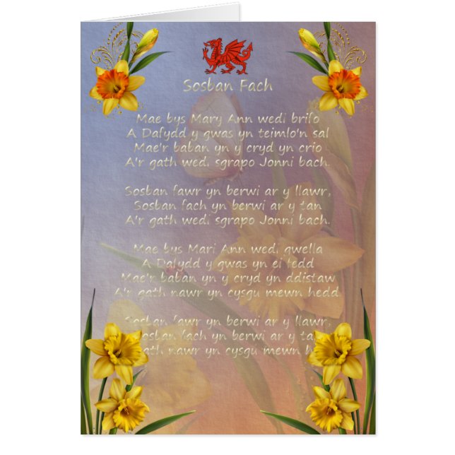 Sospan Fach Narzisse verziert (Vorne)