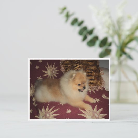 Sosseu Postkarte (Stehend Vorderseite)