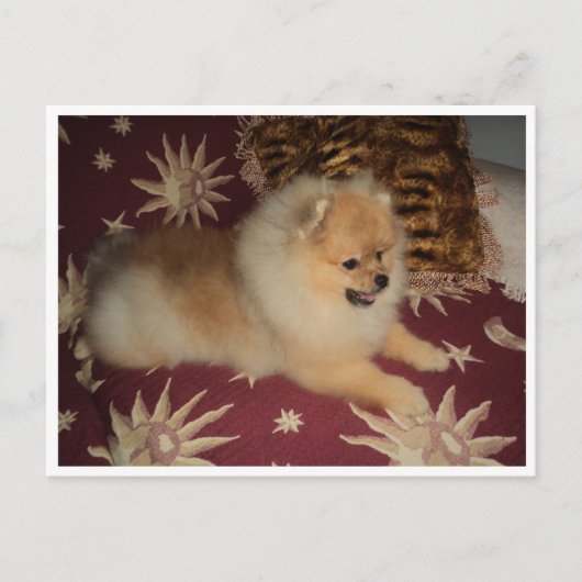 Sosseu Postkarte (Vorderseite)