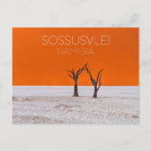 Sossusvlei, Namibia Reise-Postkarte Postkarte (Vorderseite)